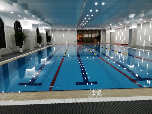 遊蘑菇视频在线官网