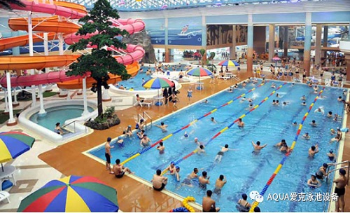 遊蘑菇视频在线官网