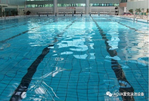 正規蘑菇视频在线官网水質清澈