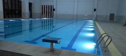 室內蘑菇视频在线官网