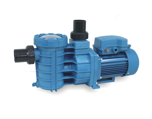 蘑菇视频在线官网泵