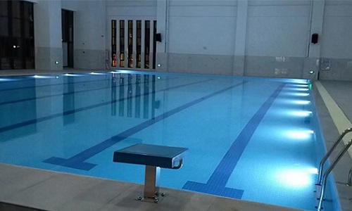 遊蘑菇视频在线官网 遊蘑菇视频在线官网