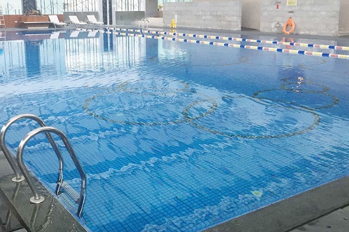 室內蘑菇视频在线官网