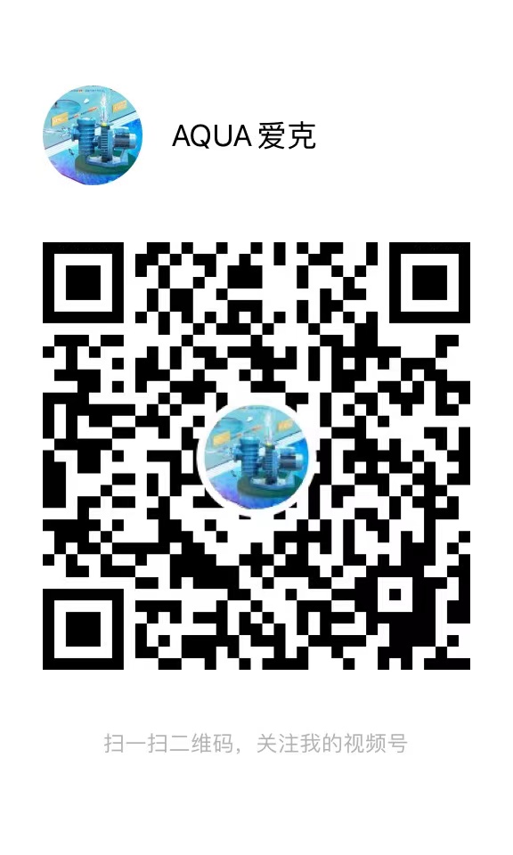 蘑菇视频在线观看視頻號