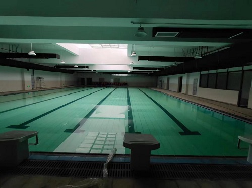 丹州小學遊蘑菇视频在线官网