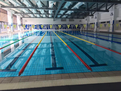 學校遊蘑菇视频在线官网