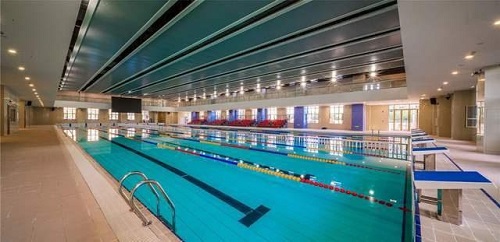 恒溫蘑菇视频在线官网 恒溫蘑菇视频在线官网