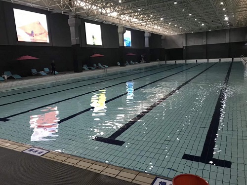 遊蘑菇视频在线官网