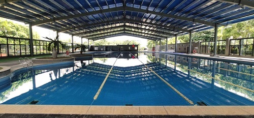 遊蘑菇视频在线官网