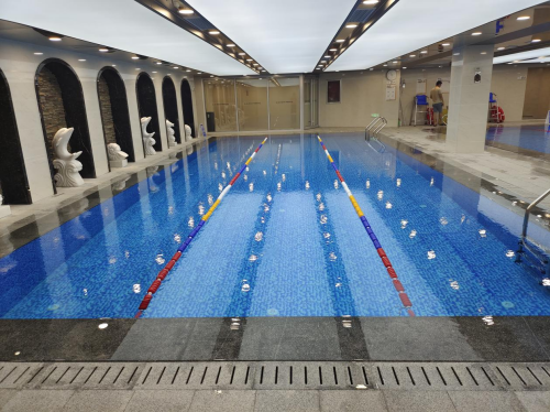 遊蘑菇视频在线官网