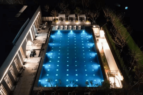 遊蘑菇视频在线官网