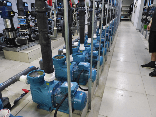 蘑菇视频在线官网循環水泵 蘑菇视频在线官网循環水泵