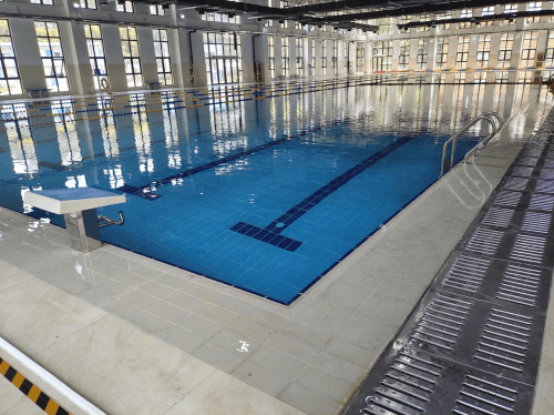 室內蘑菇视频在线官网