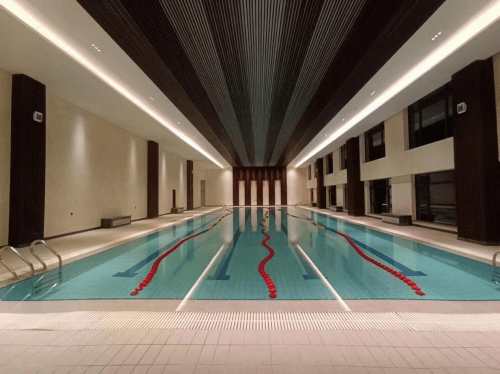 室內遊蘑菇视频在线官网 室內遊蘑菇视频在线官网