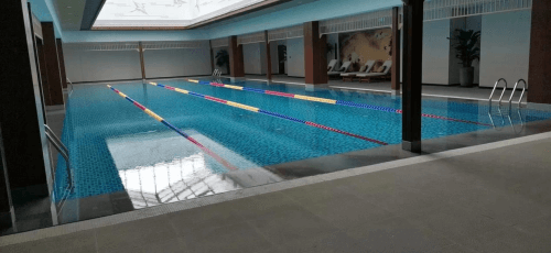 遊蘑菇视频在线官网