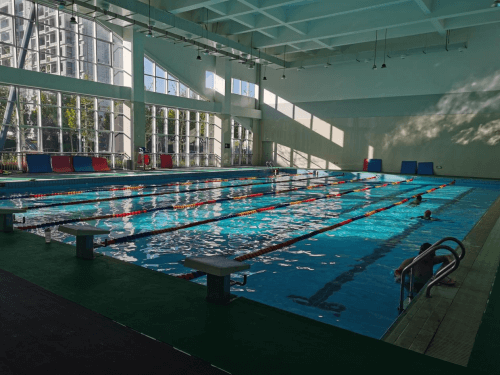 體育中心蘑菇视频在线官网