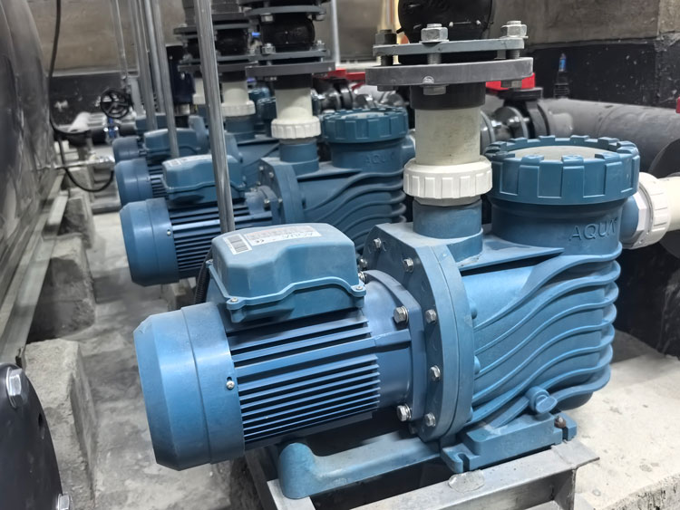 蘑菇视频在线观看蘑菇视频在线官网水泵